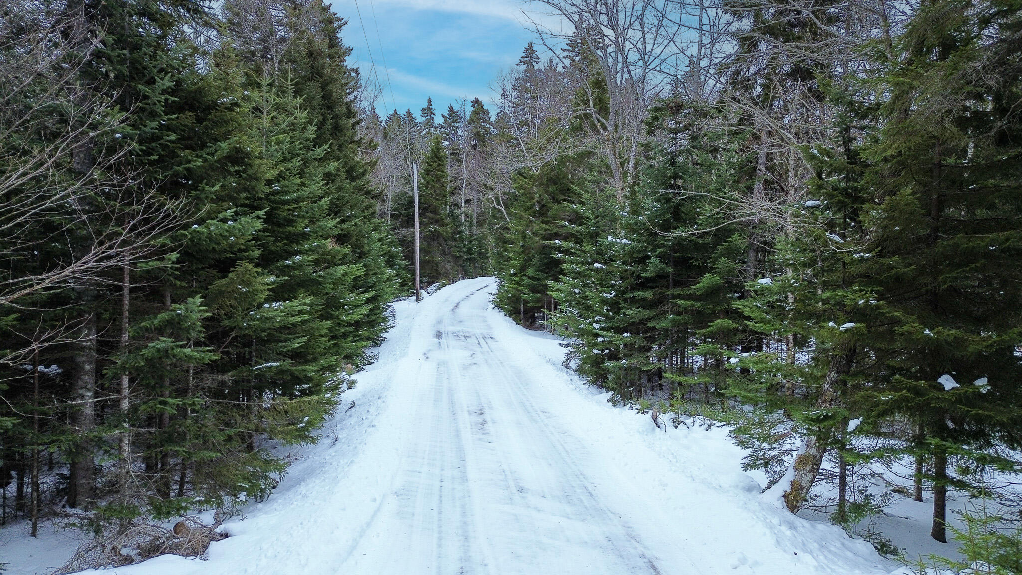 Lot B Fort Williams Road Harrington ME 04643