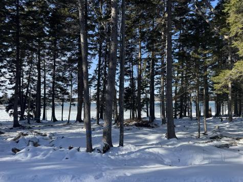 Lot B Fort Williams Road Harrington ME 04643