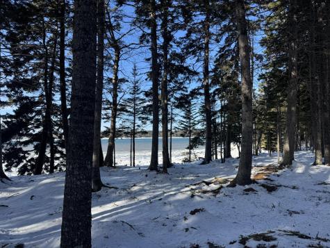 Lot B Fort Williams Road Harrington ME 04643