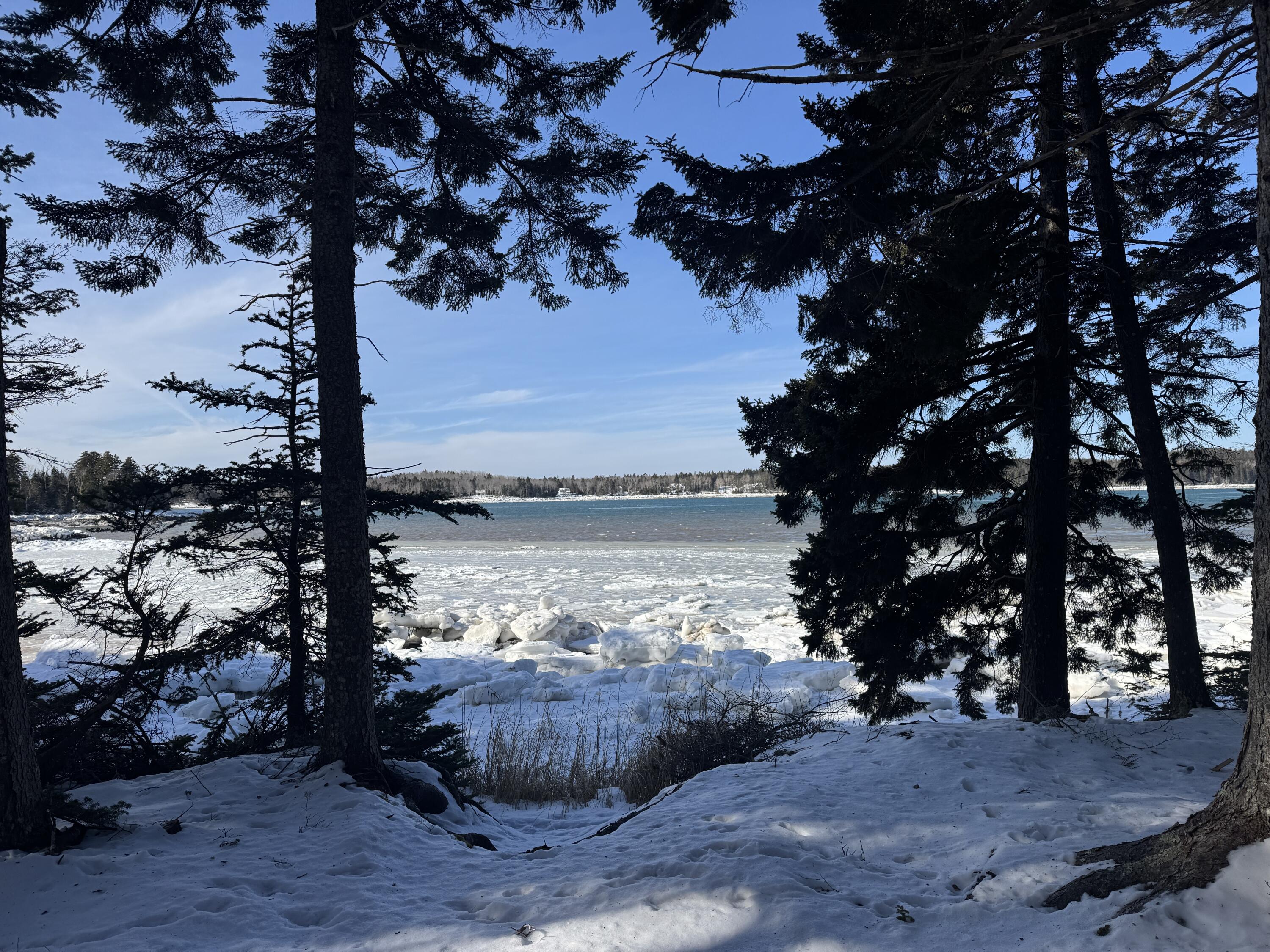 Lot B Fort Williams Road Harrington ME 04643