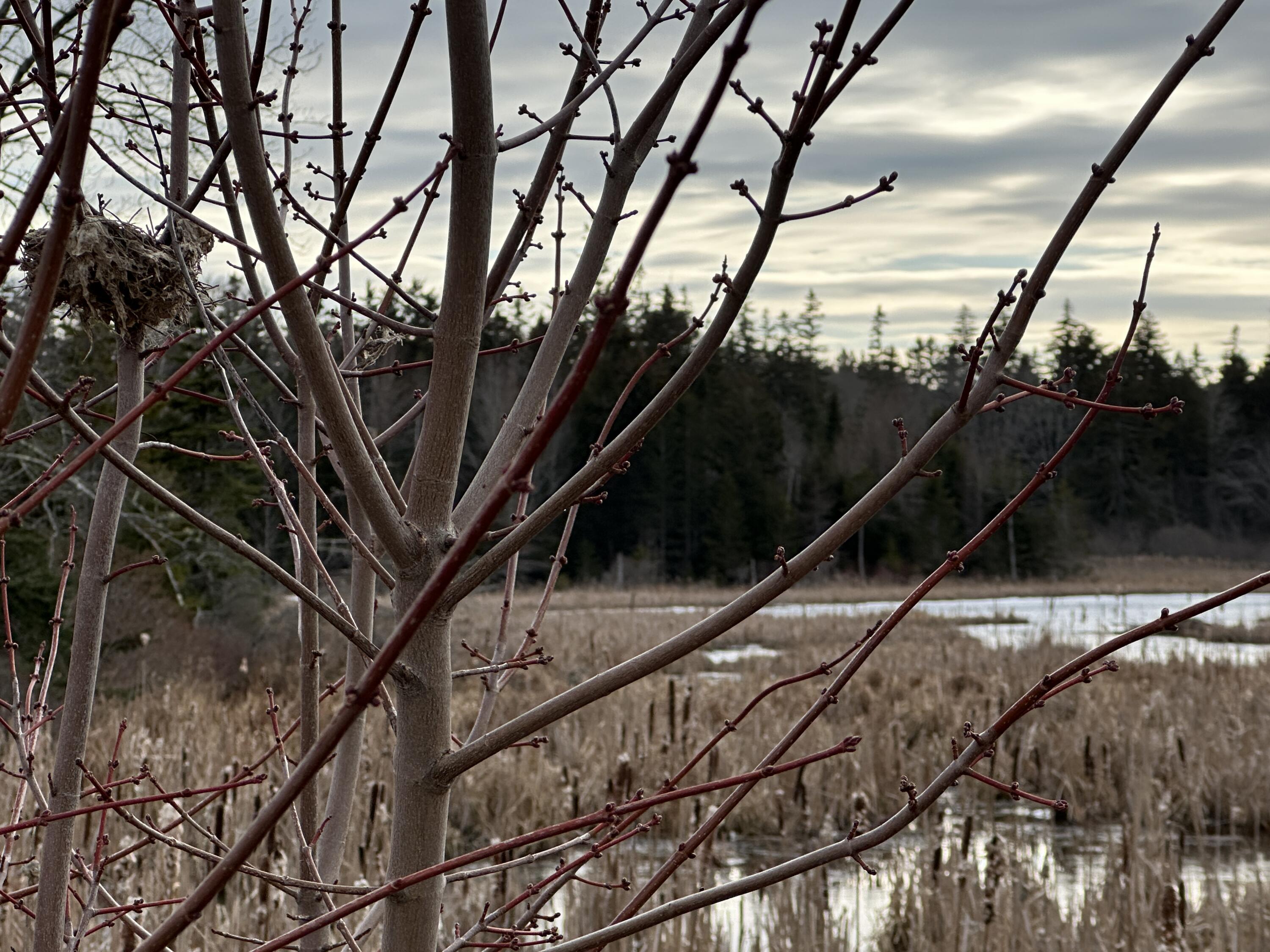 Lot #10 Ridge Road Saint George ME 04860