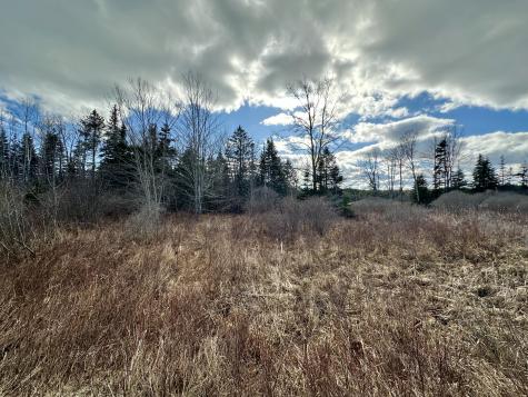 Lot #10 Ridge Road Saint George ME 04860