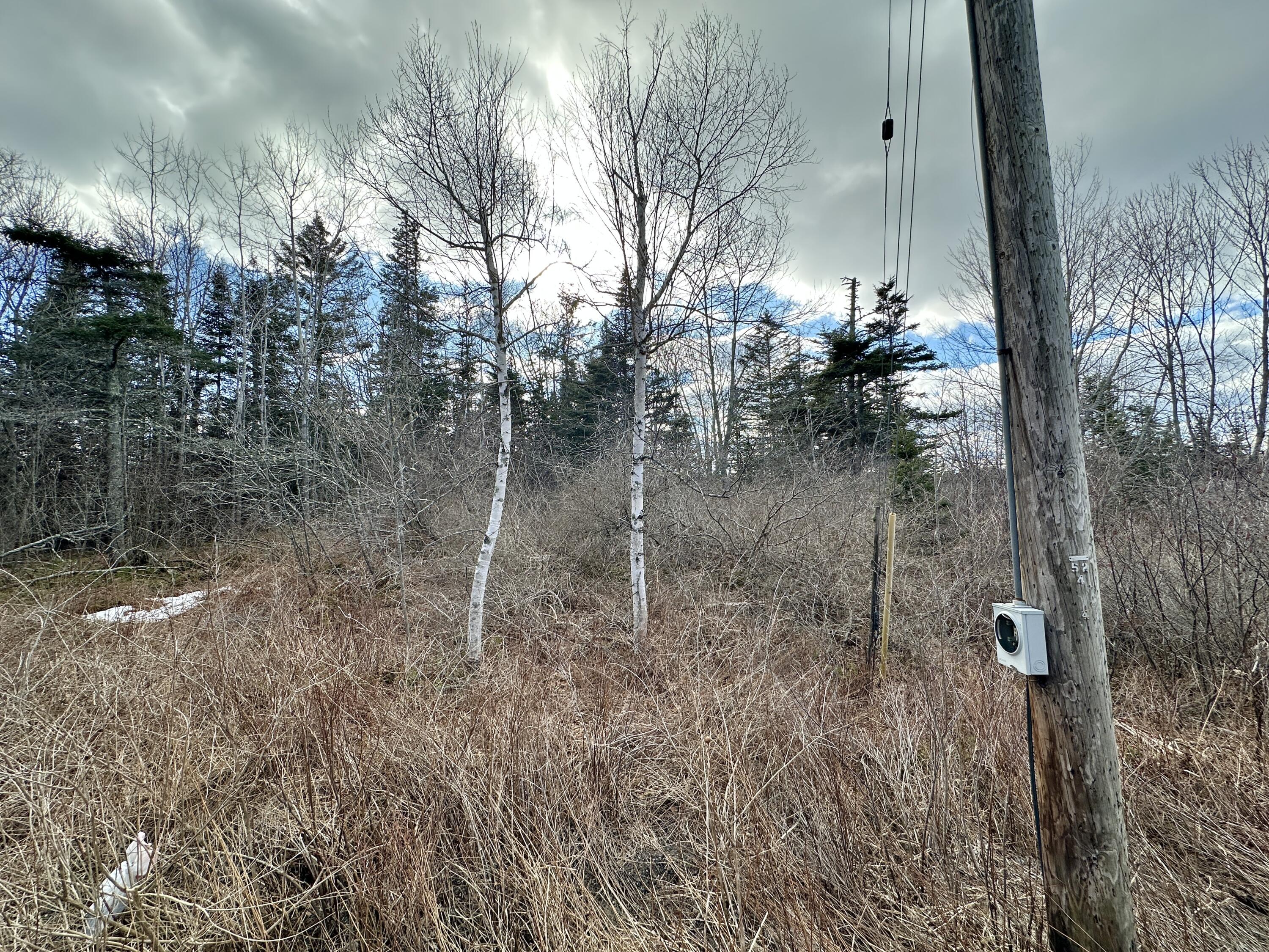 Lot #10 Ridge Road Saint George ME 04860