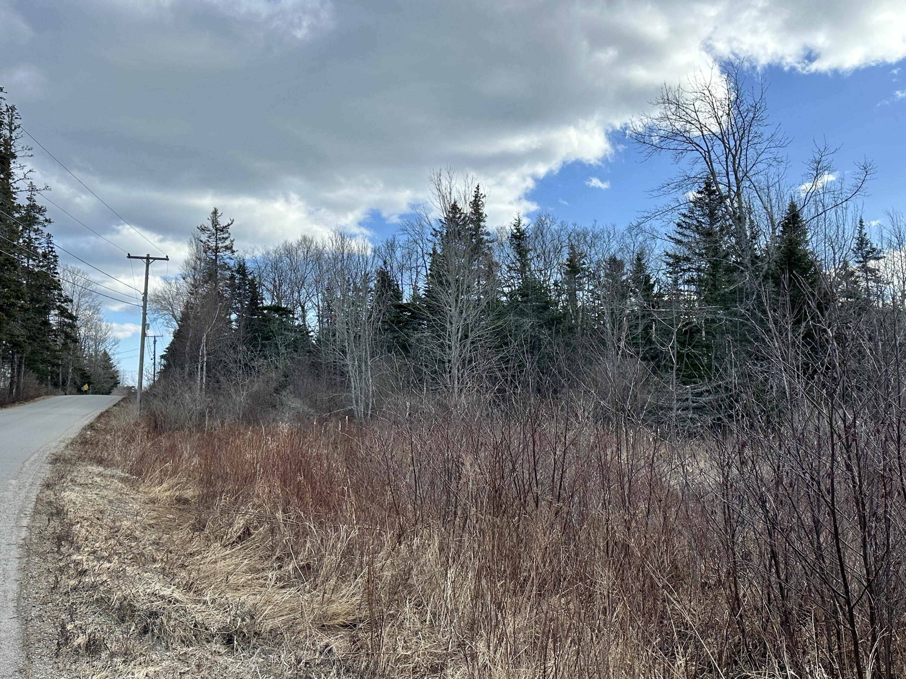 Lot #10 Ridge Road Saint George ME 04860