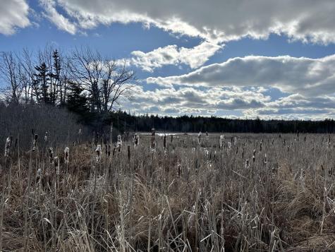 Lot #10 Ridge Road Saint George ME 04860