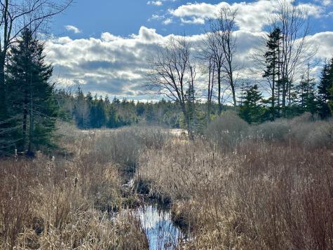 Lot #10 Ridge Road Saint George ME 04860