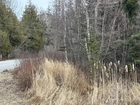 Lot #10 Ridge Road Saint George ME 04860