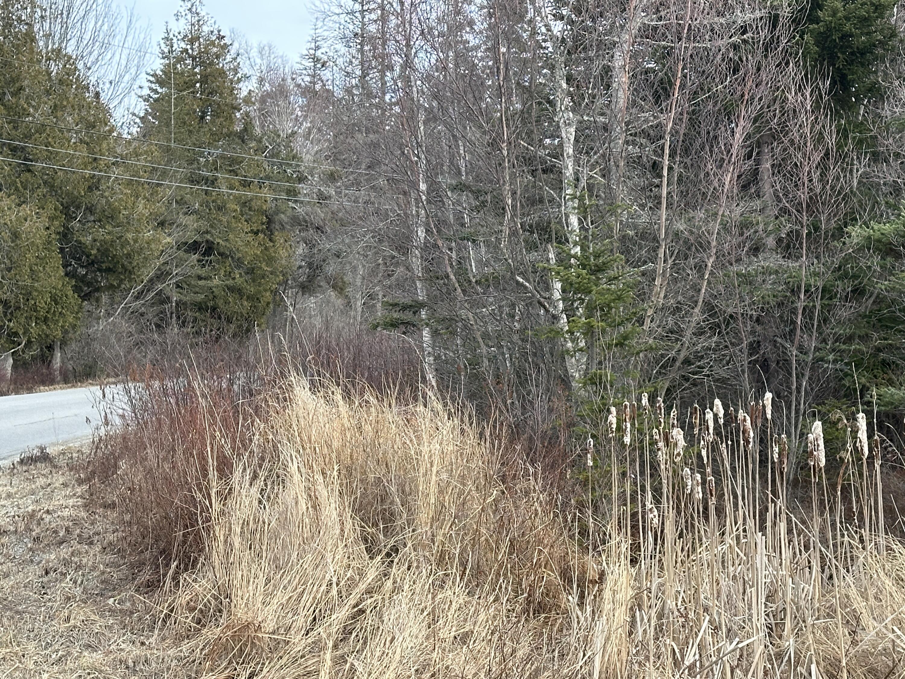 Lot #10 Ridge Road Saint George ME 04860