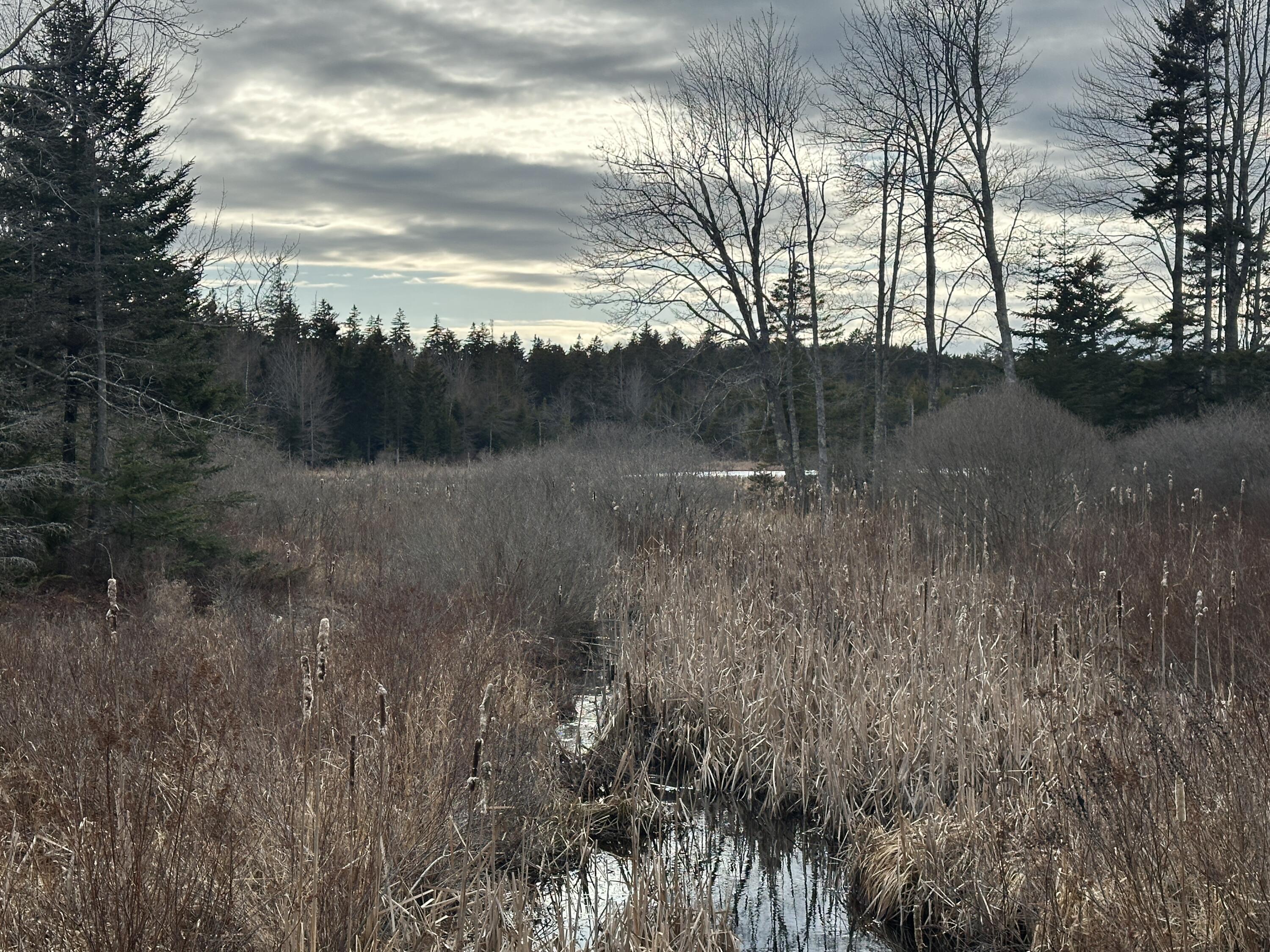 Lot #10 Ridge Road Saint George ME 04860