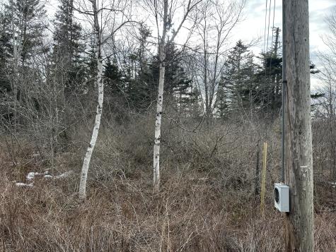 Lot #10 Ridge Road Saint George ME 04860