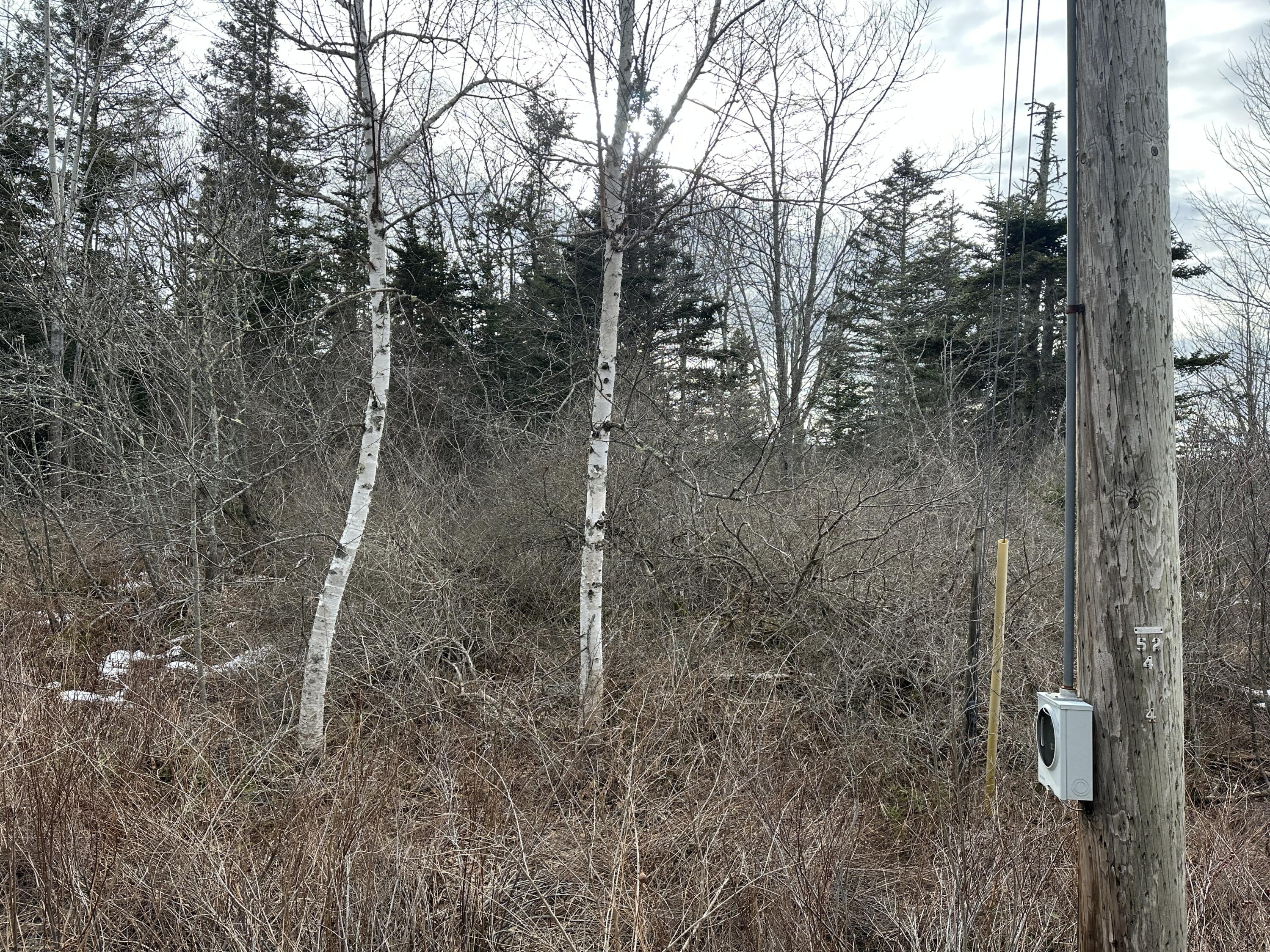 Lot #10 Ridge Road Saint George ME 04860