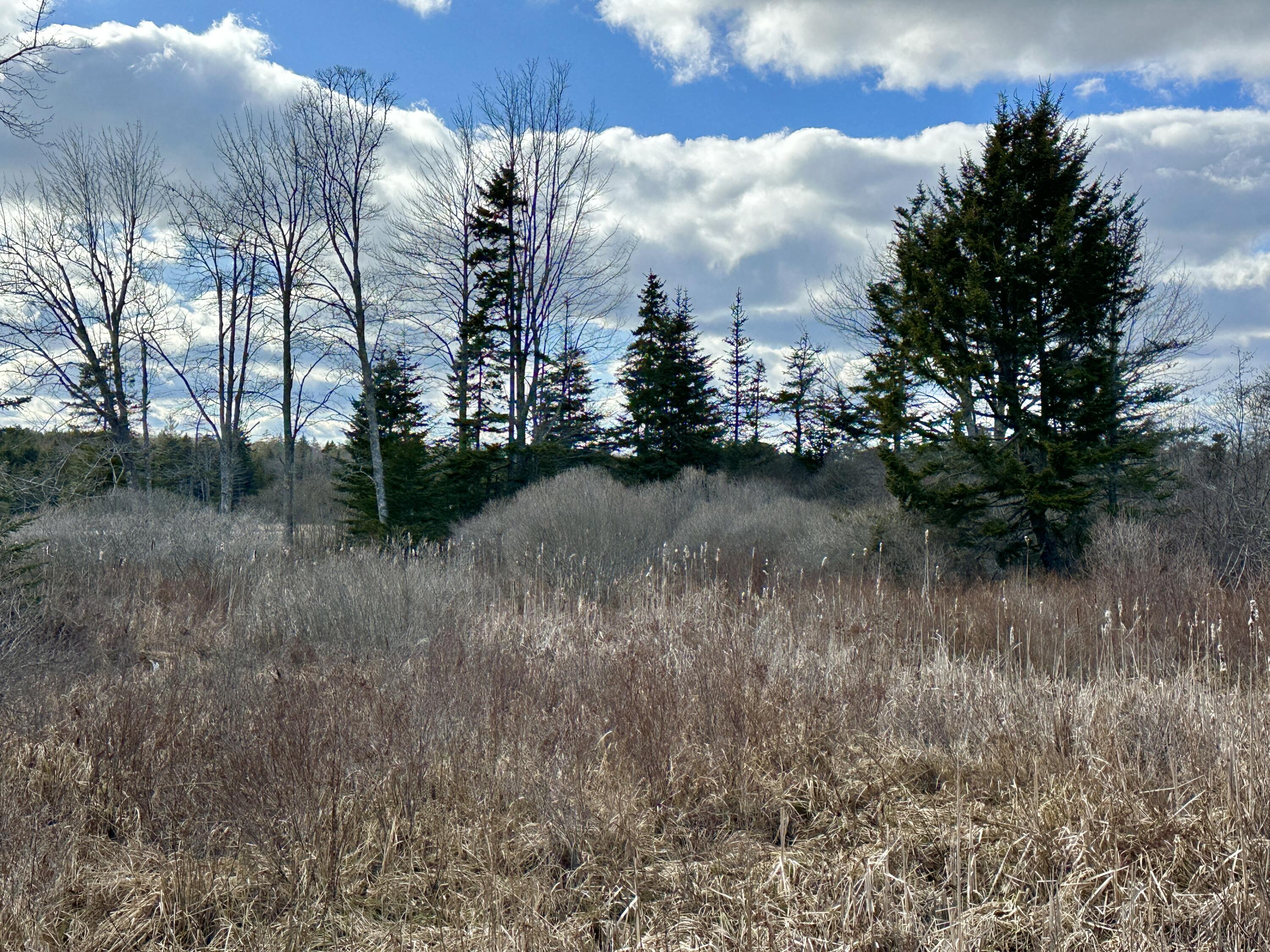 Lot #10 Ridge Road Saint George ME 04860