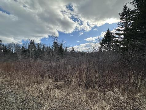 Lot #10 Ridge Road Saint George ME 04860