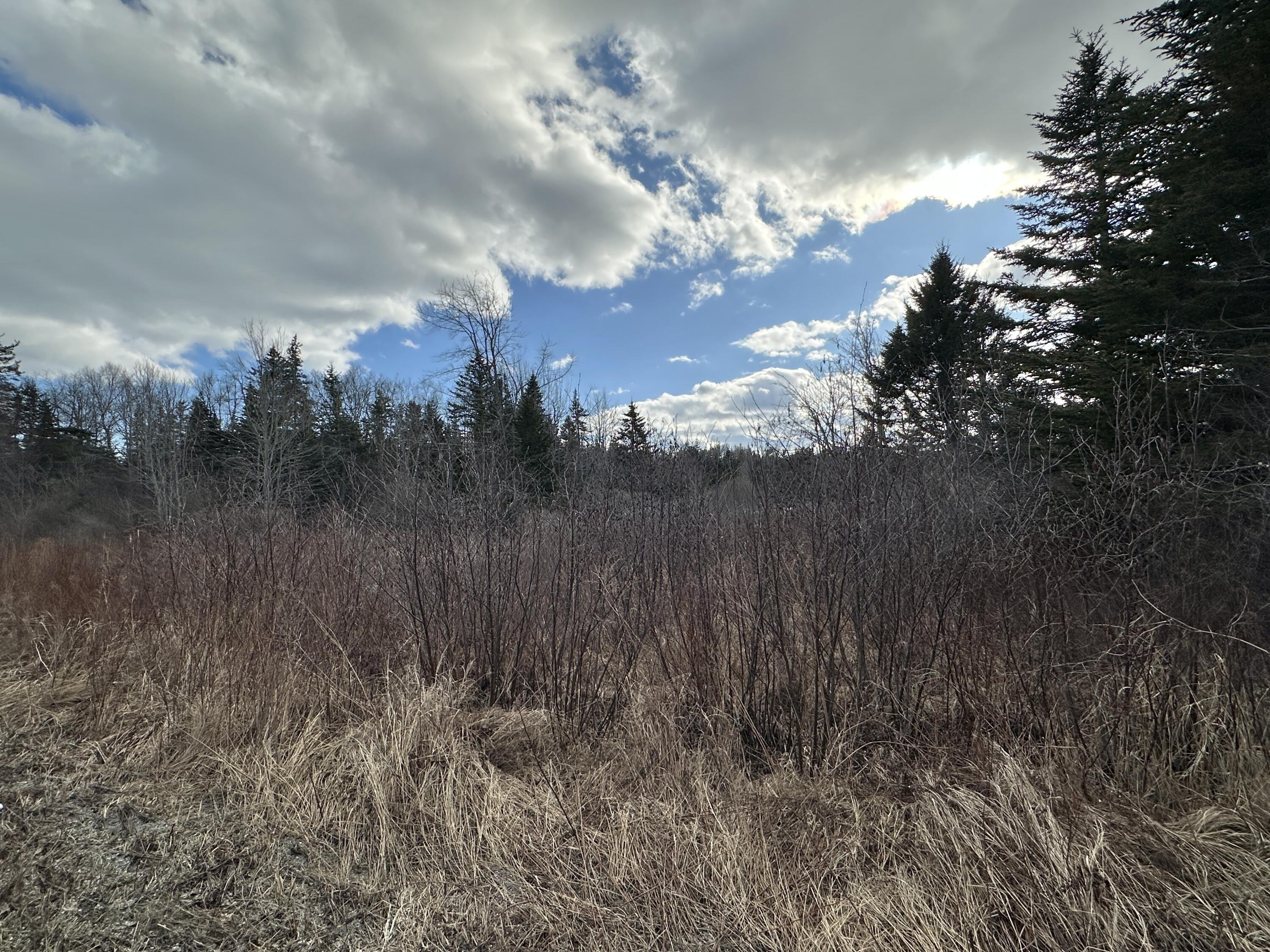 Lot #10 Ridge Road Saint George ME 04860