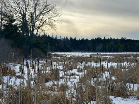 Lot #10 Ridge Road Saint George ME 04860