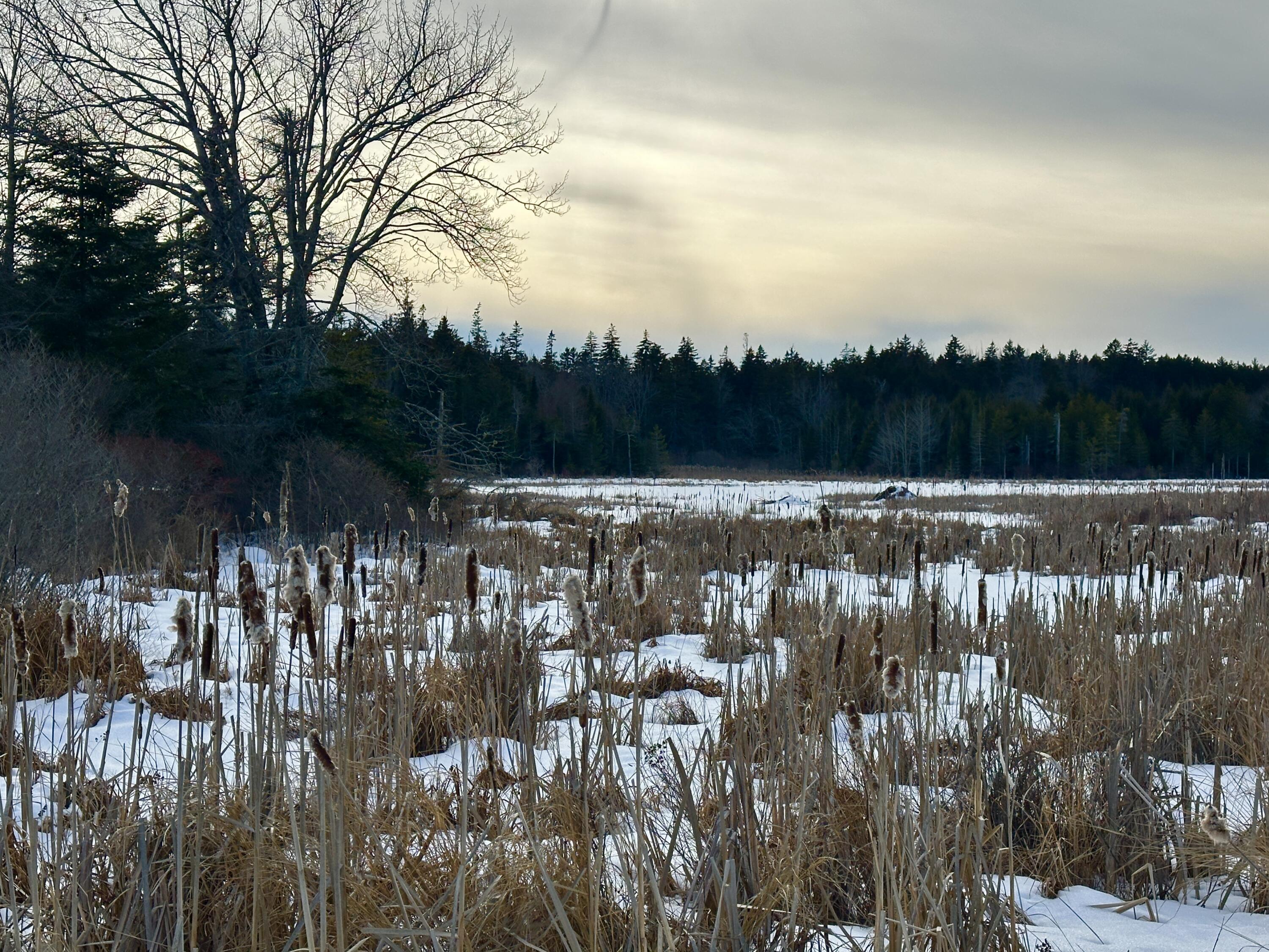 Lot #10 Ridge Road Saint George ME 04860