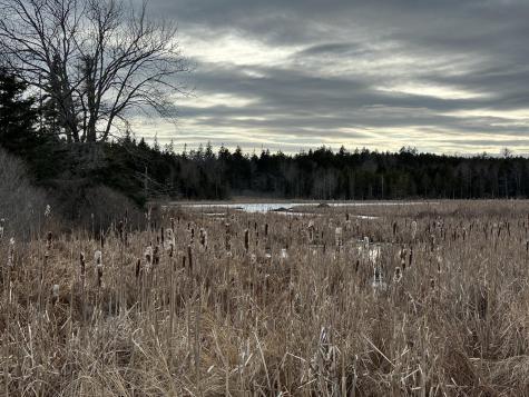 Lot #10 Ridge Road Saint George ME 04860