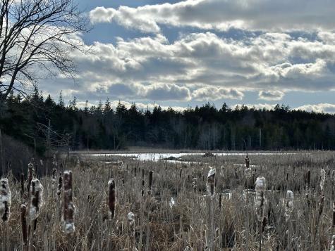 Lot #10 Ridge Road Saint George ME 04860