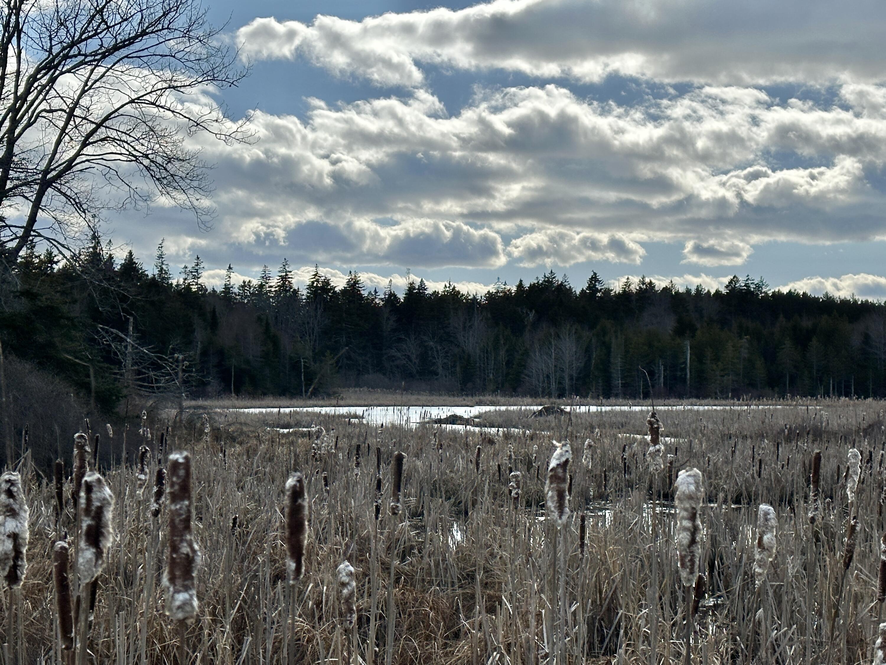 Lot #10 Ridge Road Saint George ME 04860