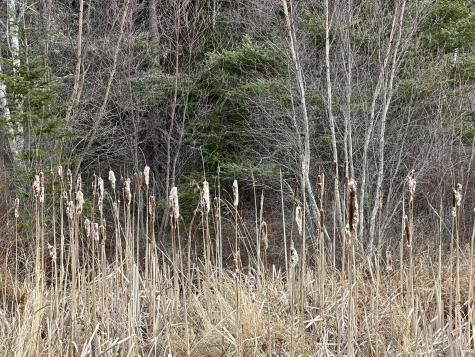 Lot #10 Ridge Road Saint George ME 04860
