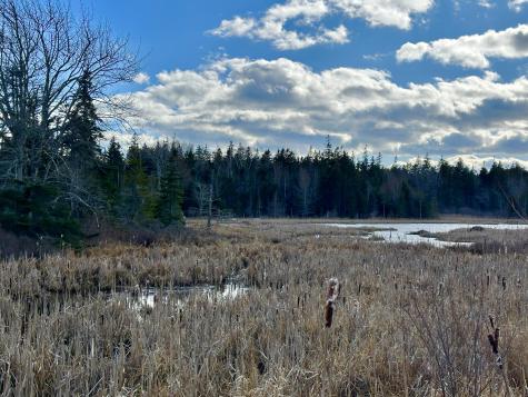 Lot #10 Ridge Road Saint George ME 04860