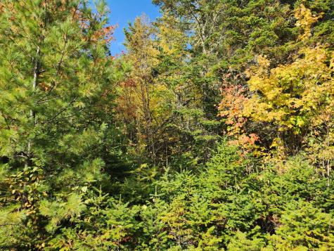 Lot 5-8 Bushey Road Greenville ME 04441