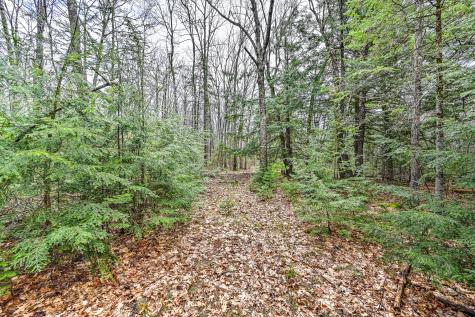 Tbd Chipmunk Lane Hartland ME 04943