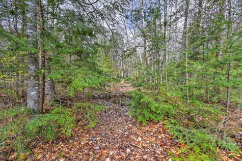 Tbd Chipmunk Lane Hartland ME 04943