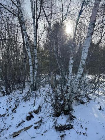 Lot#7 Happy Town Road Orland ME 04472