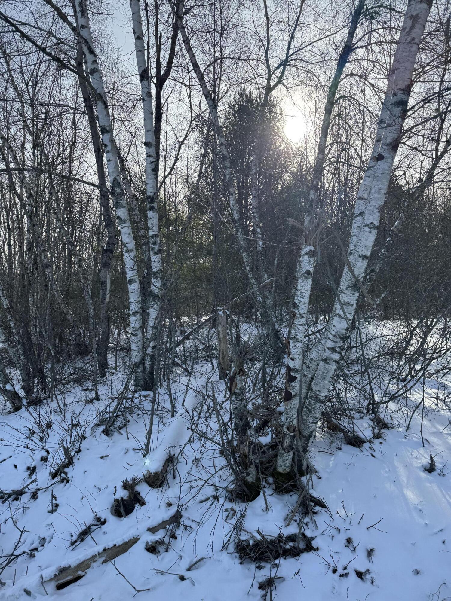 Lot#7 Happy Town Road Orland ME 04472