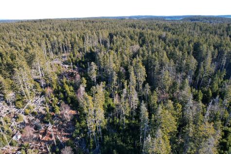 Lot 3 Jericho Bay Road Swans Island ME 04685