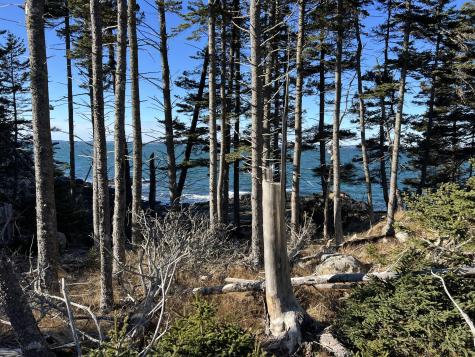 Lot 3 Jericho Bay Road Swans Island ME 04685