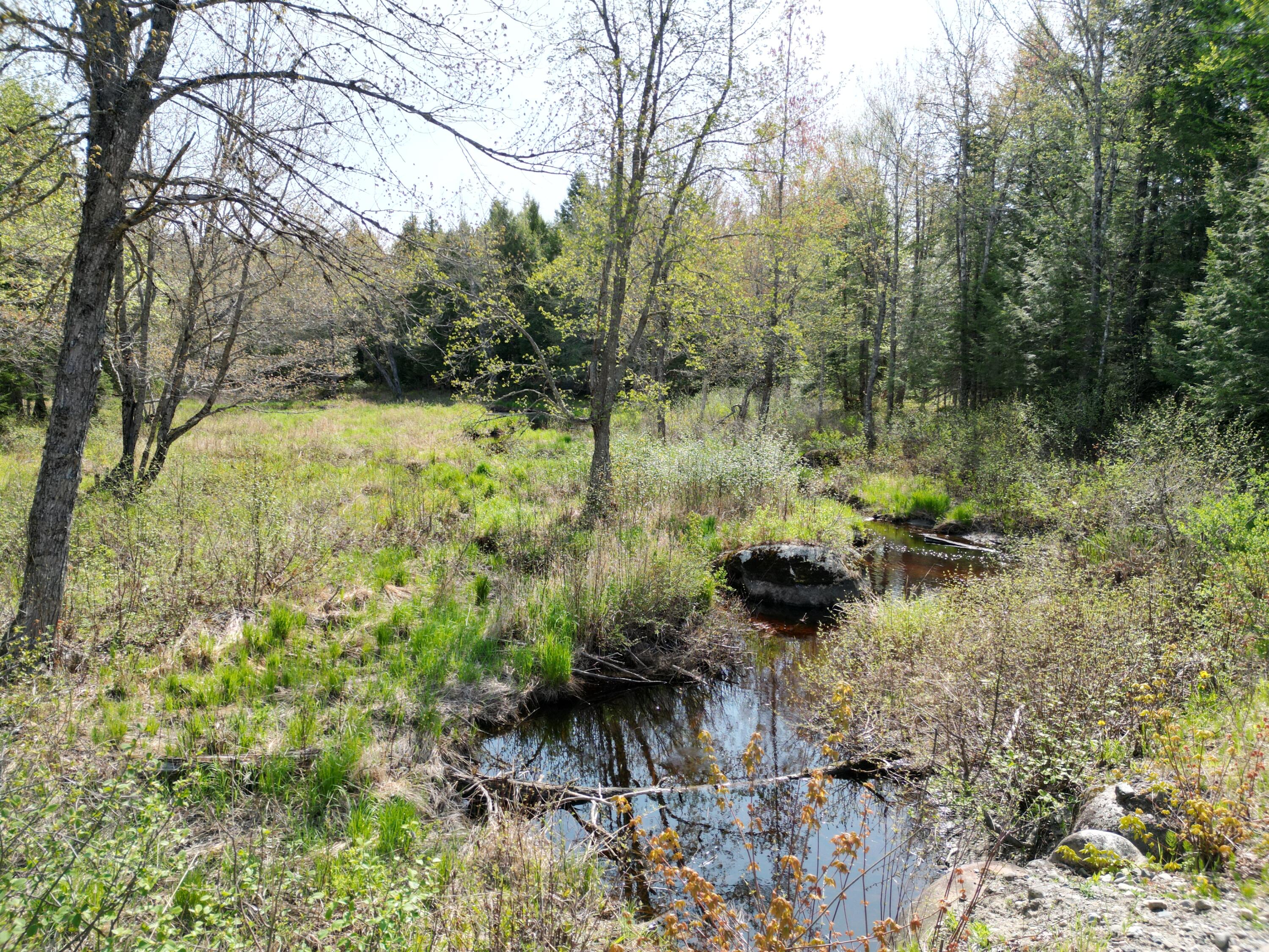 Lot 2 Off Mattamiscontis Road Howland ME 04448