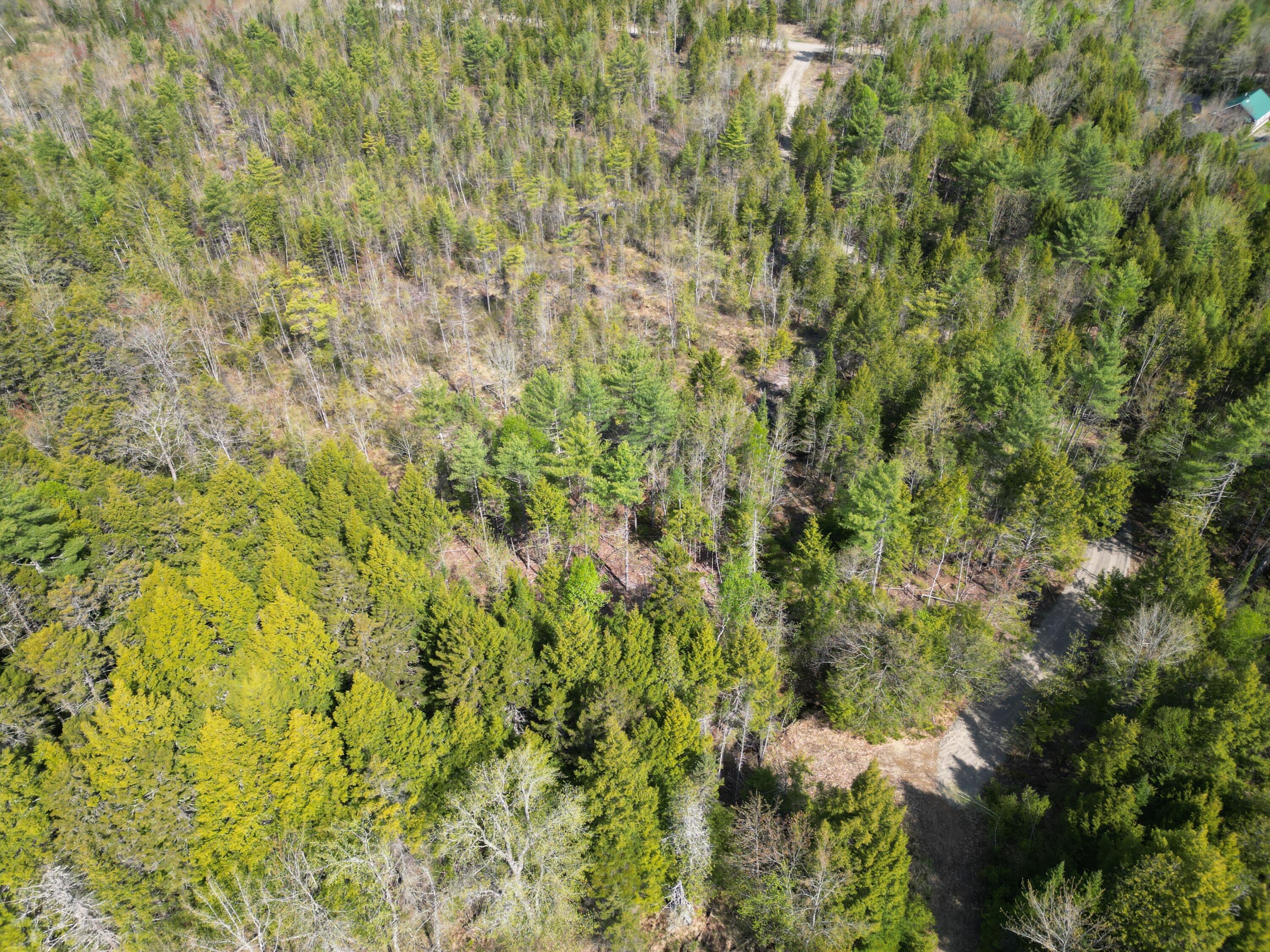 Lot 2 Off Mattamiscontis Road Howland ME 04448
