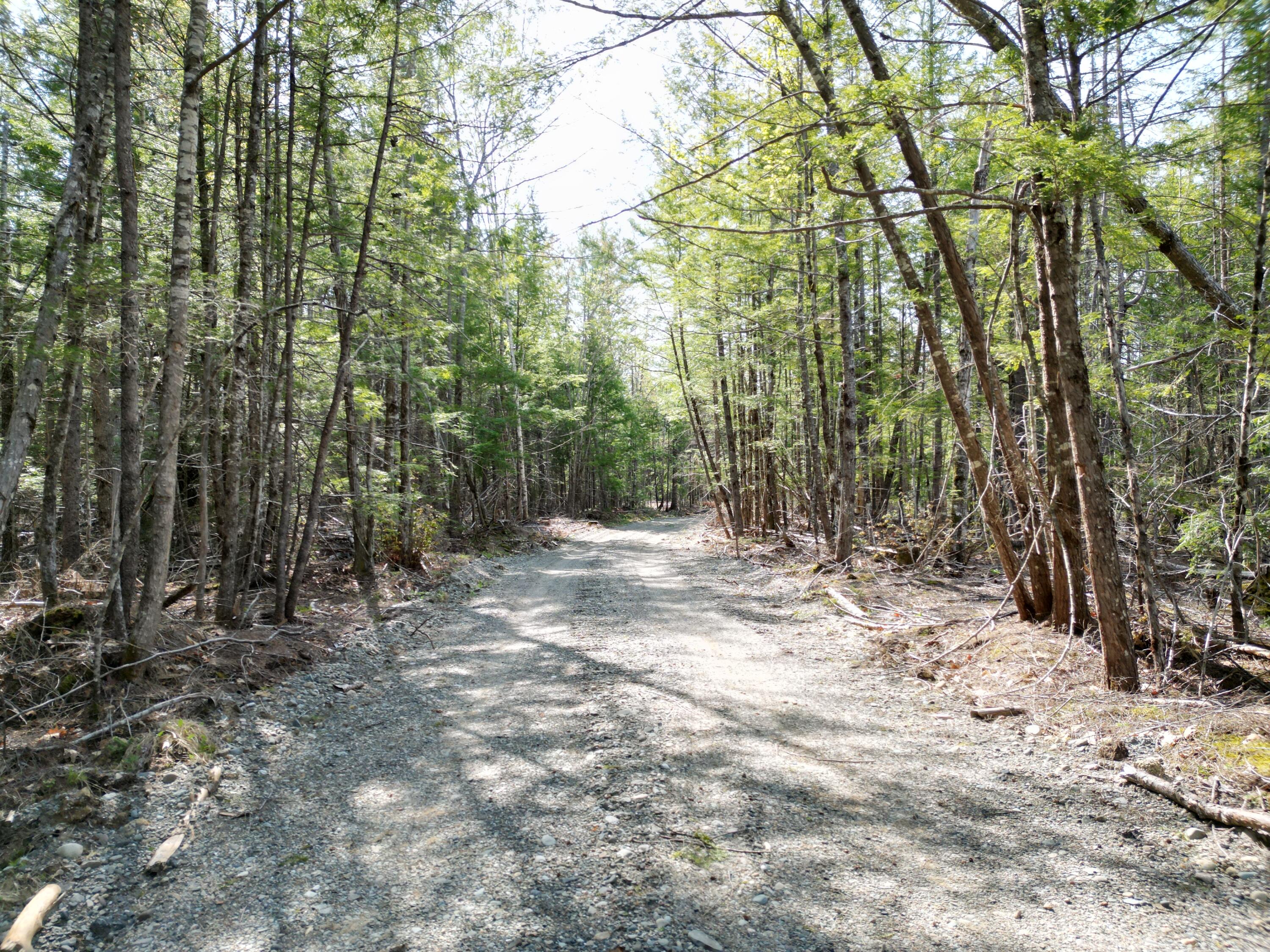 Lot 2 Off Mattamiscontis Road Howland ME 04448
