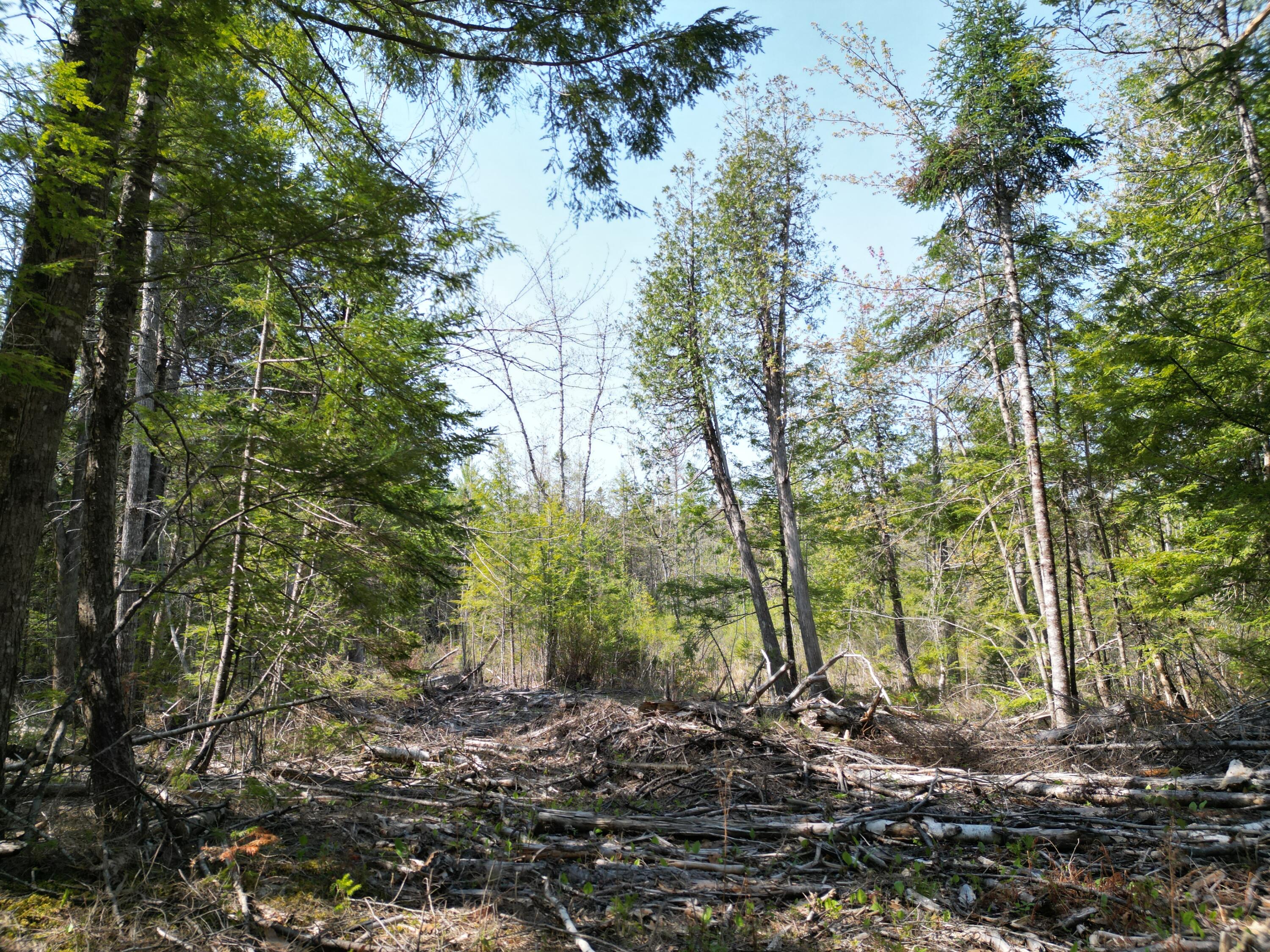 Lot 2 Off Mattamiscontis Road Howland ME 04448