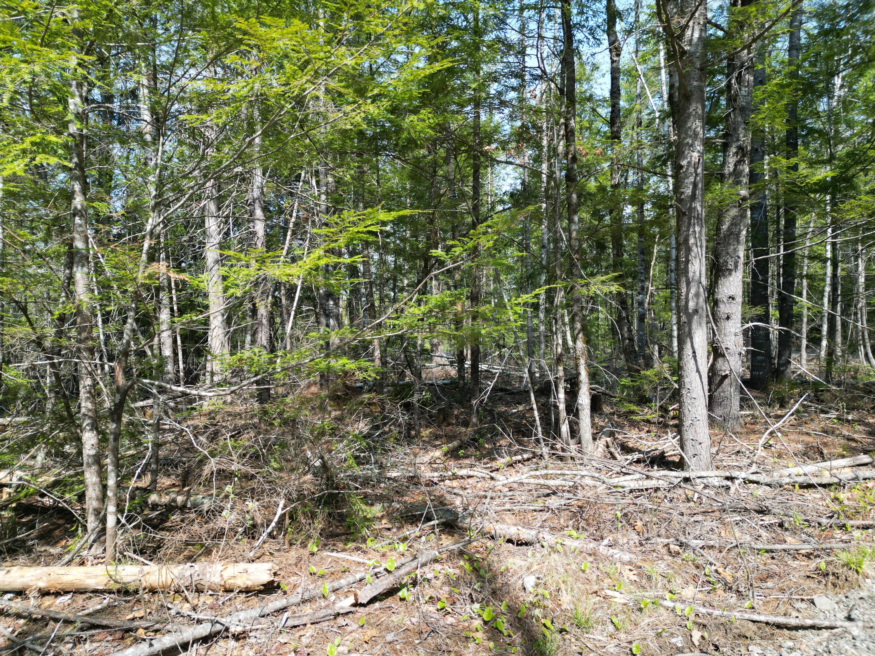 Lot 2 Off Mattamiscontis Road Howland ME 04448