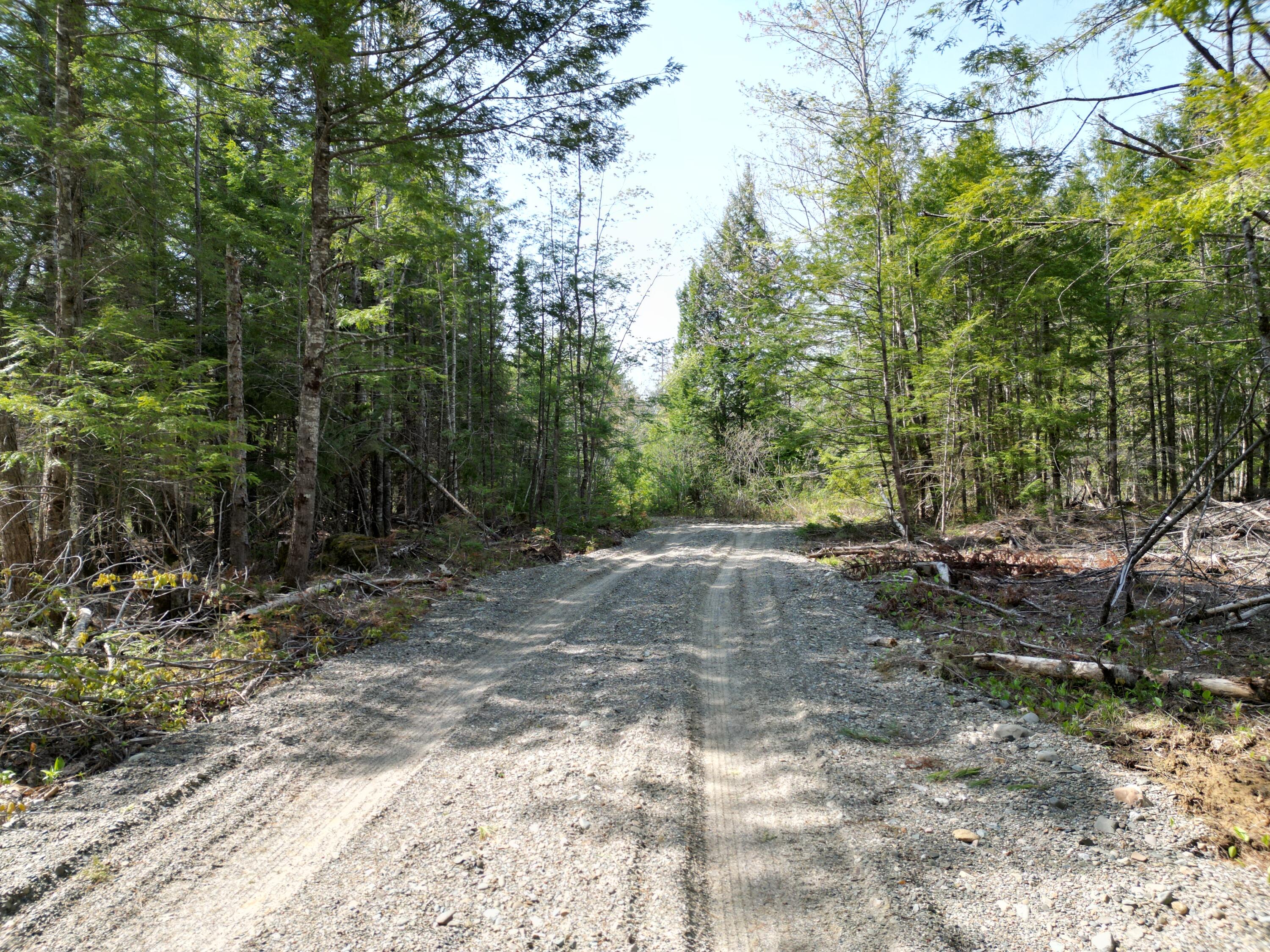 Lot 2 Off Mattamiscontis Road Howland ME 04448