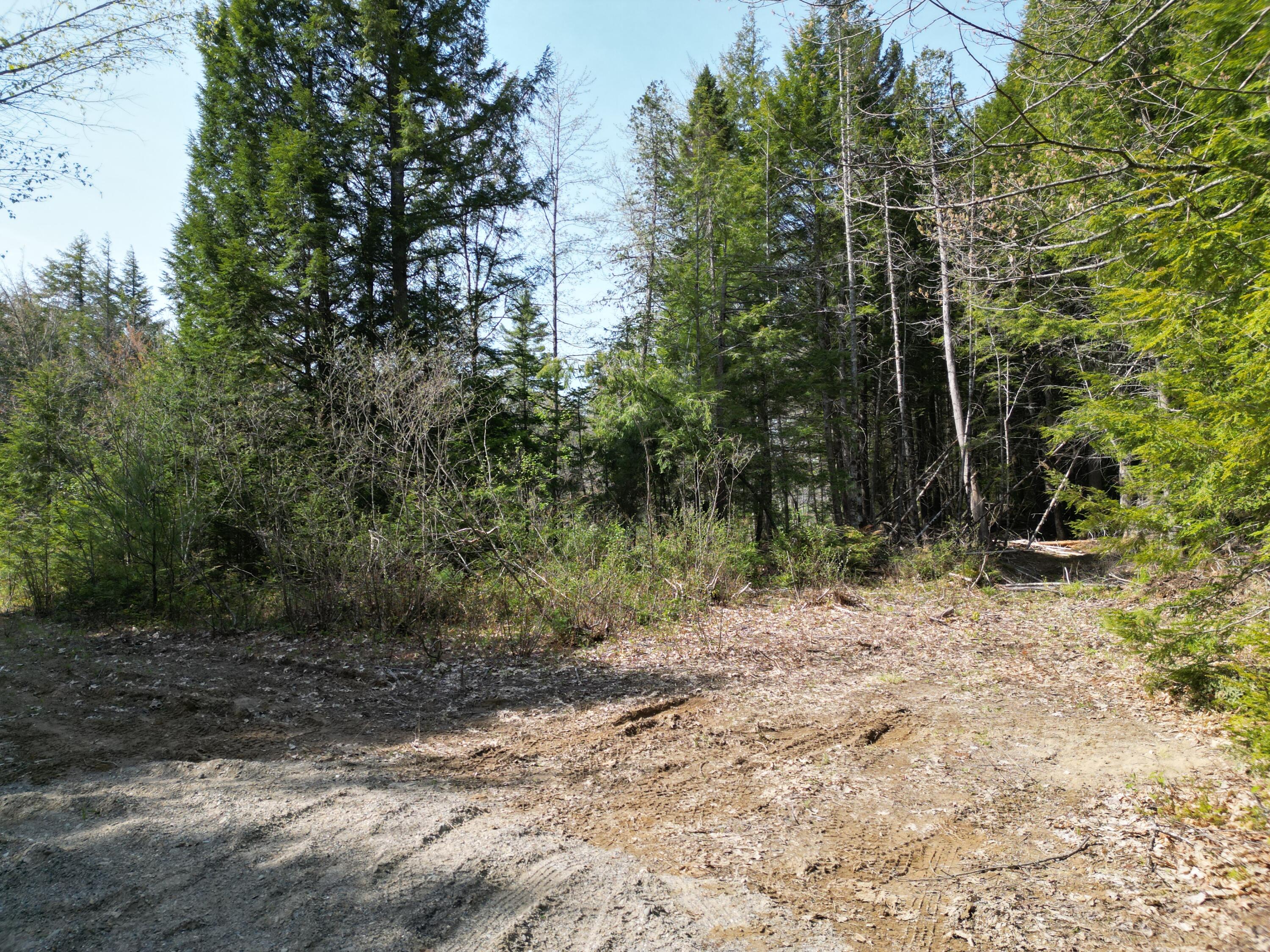 Lot 2 Off Mattamiscontis Road Howland ME 04448