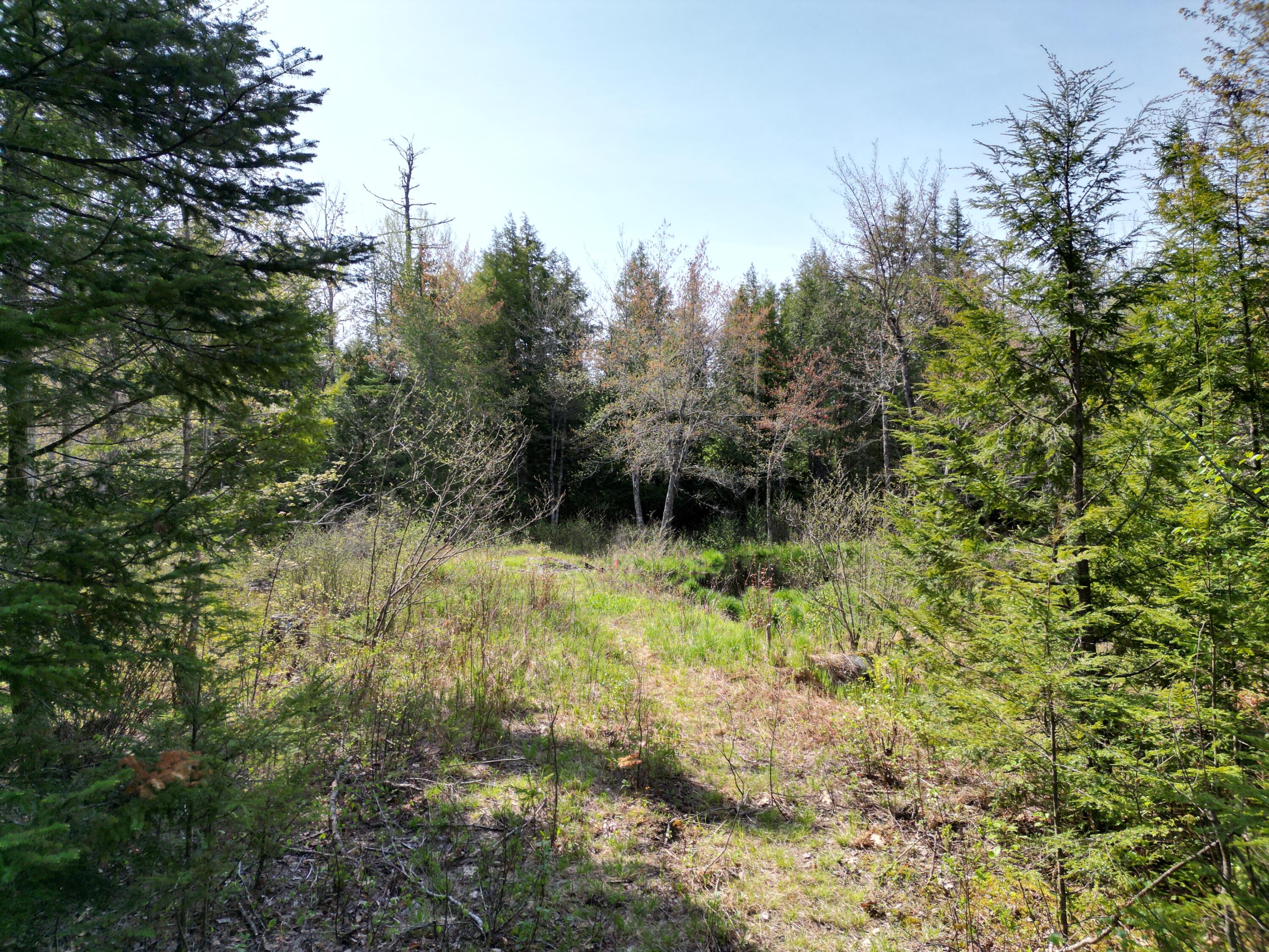Lot 2 Off Mattamiscontis Road Howland ME 04448