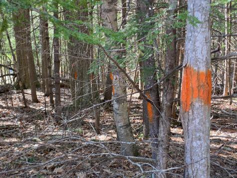 Lot 2 Marble Point Road Mount Vernon ME 04352