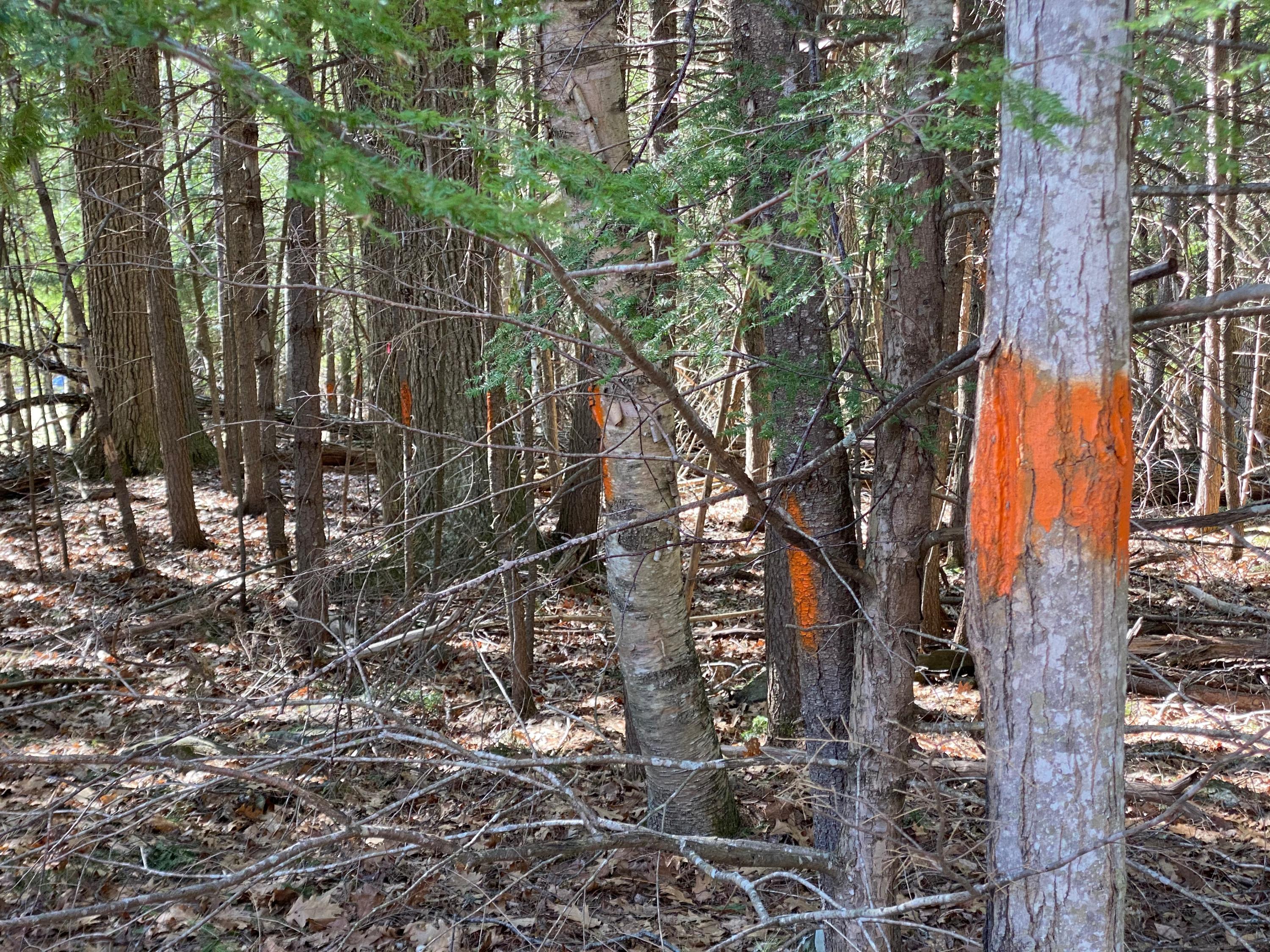 Lot 2 Marble Point Road Mount Vernon ME 04352
