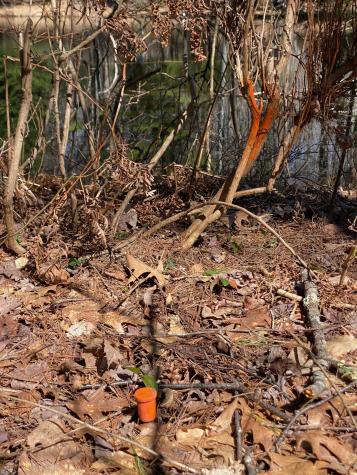 Lot 2 Marble Point Road Mount Vernon ME 04352