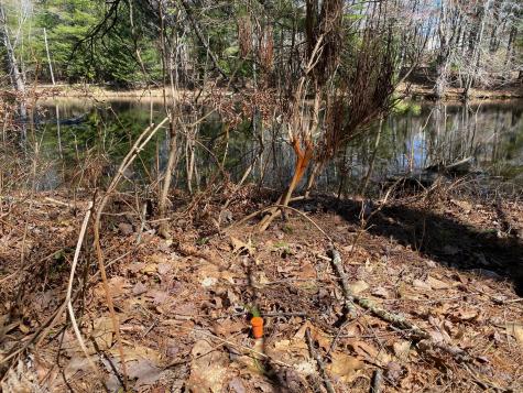 Lot 2 Marble Point Road Mount Vernon ME 04352
