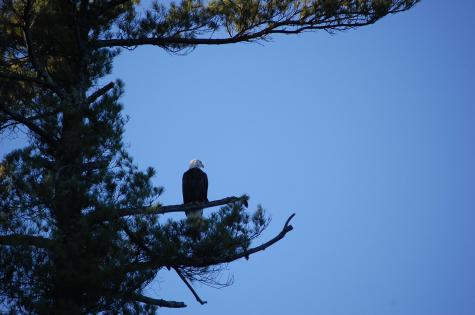 Lot 2 Marble Point Road Mount Vernon ME 04352