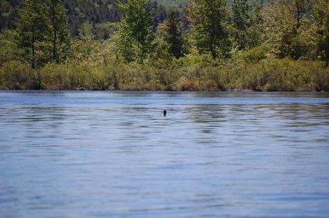 Lot 2 Marble Point Road Mount Vernon ME 04352