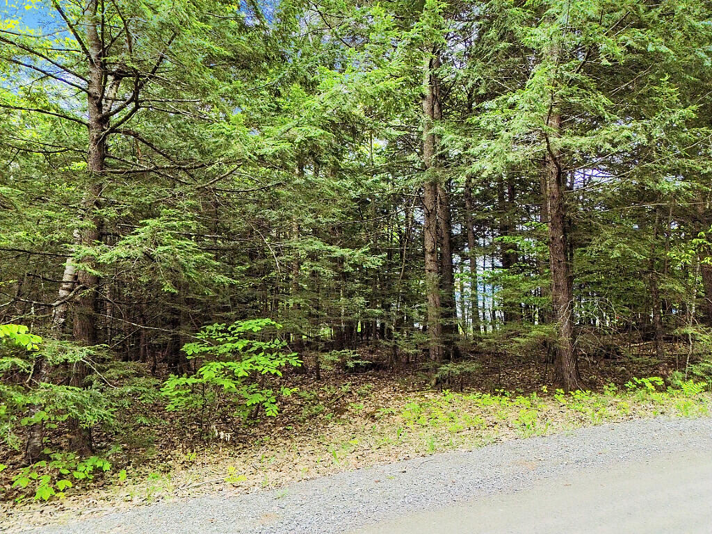 Lot 2 Marble Point Road Mount Vernon ME 04352