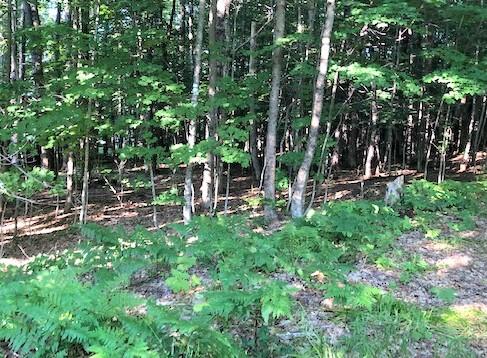 0-0 Lookout Avenue Dover-foxcroft ME 04426