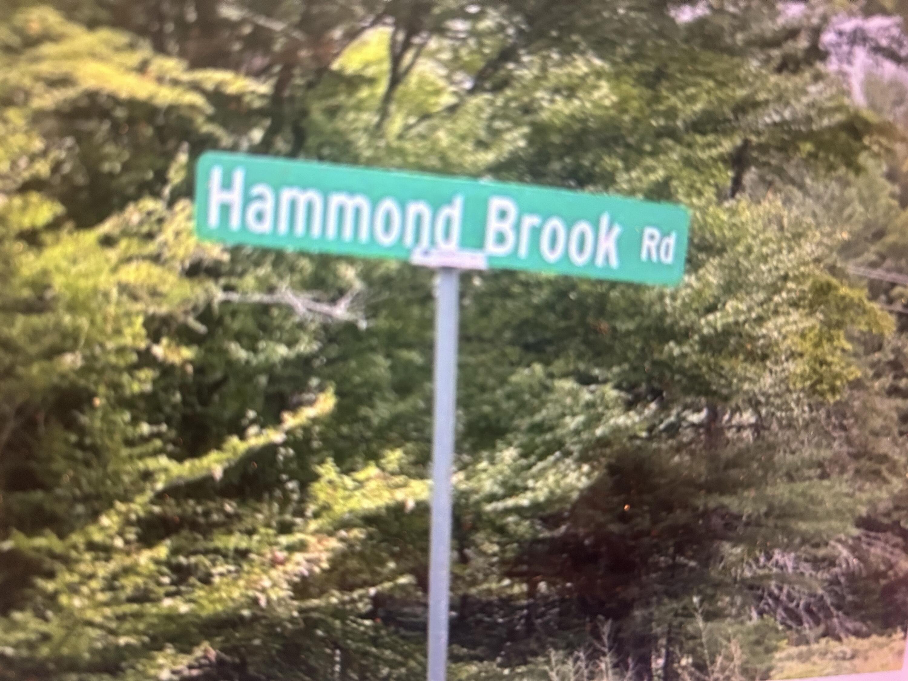 Lot #8 Hammond Brook Road Monson ME 04464