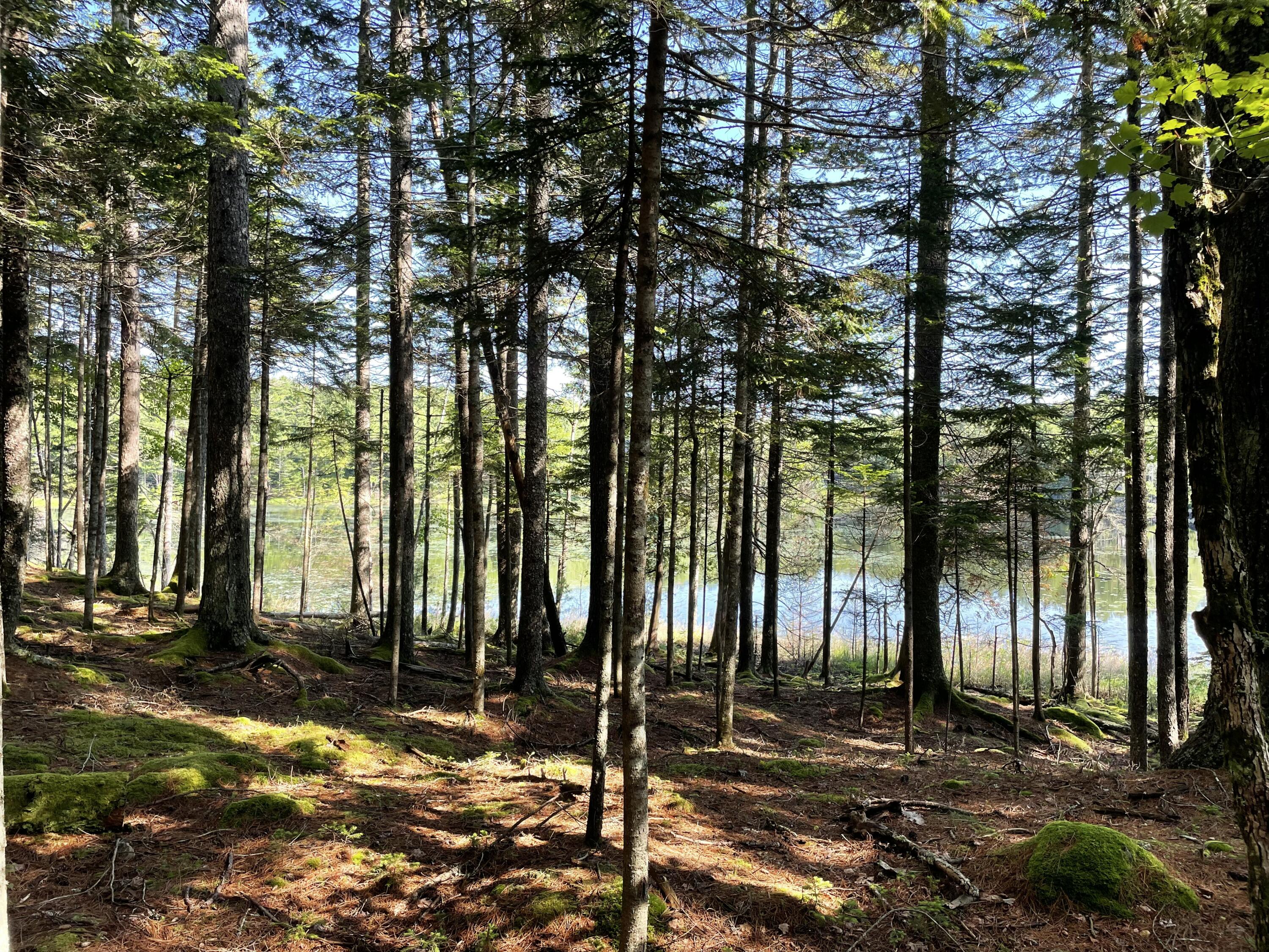 Lot A Red Spruce Way Mount Desert ME 04660